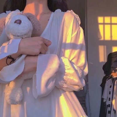 新沙洞燕子